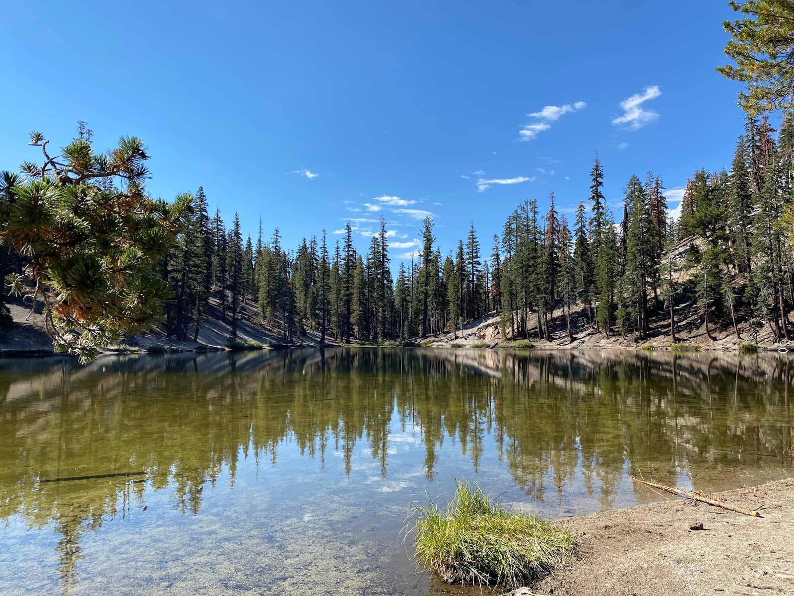 Scenic Mountain Biking Trail