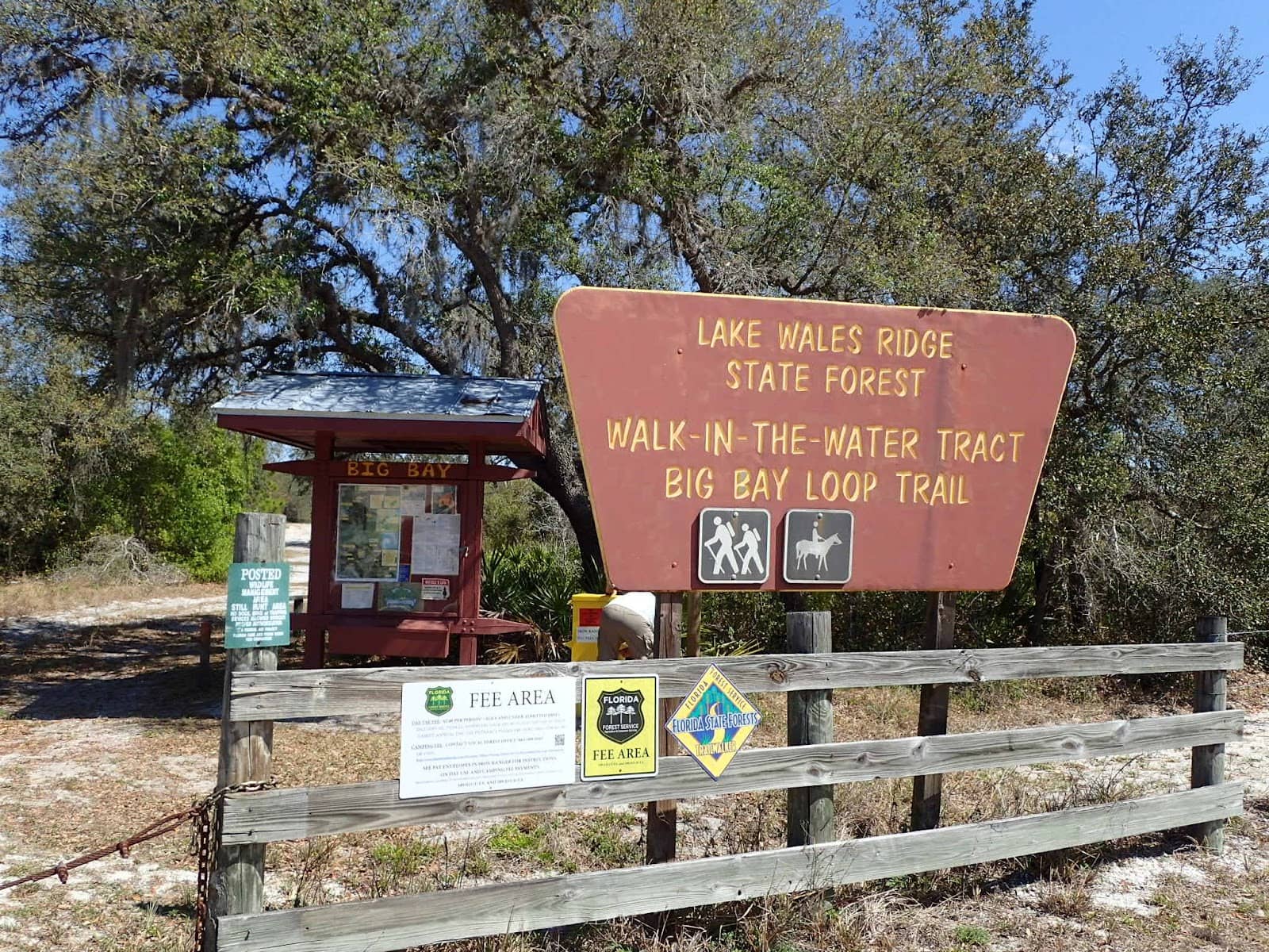 Hidden Hammock Hike
