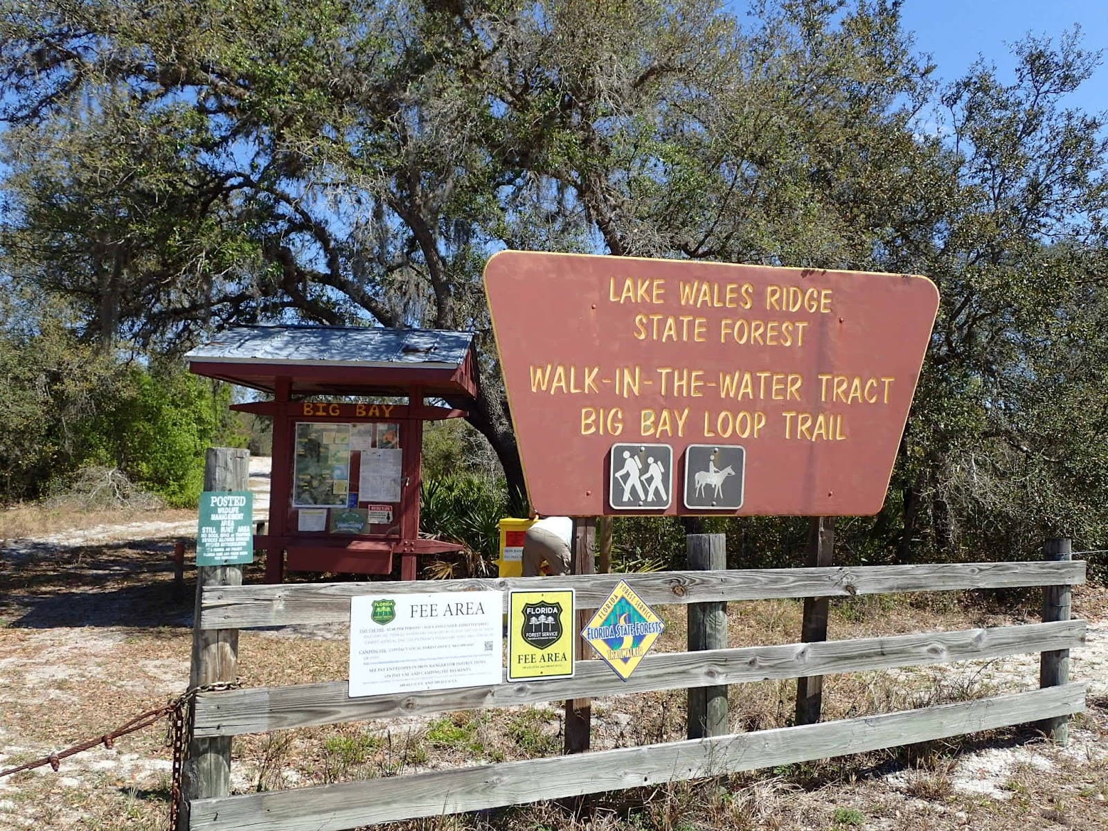 Lake Wales Ridge State Forest Walk-in-the-Water Tract - Image 1