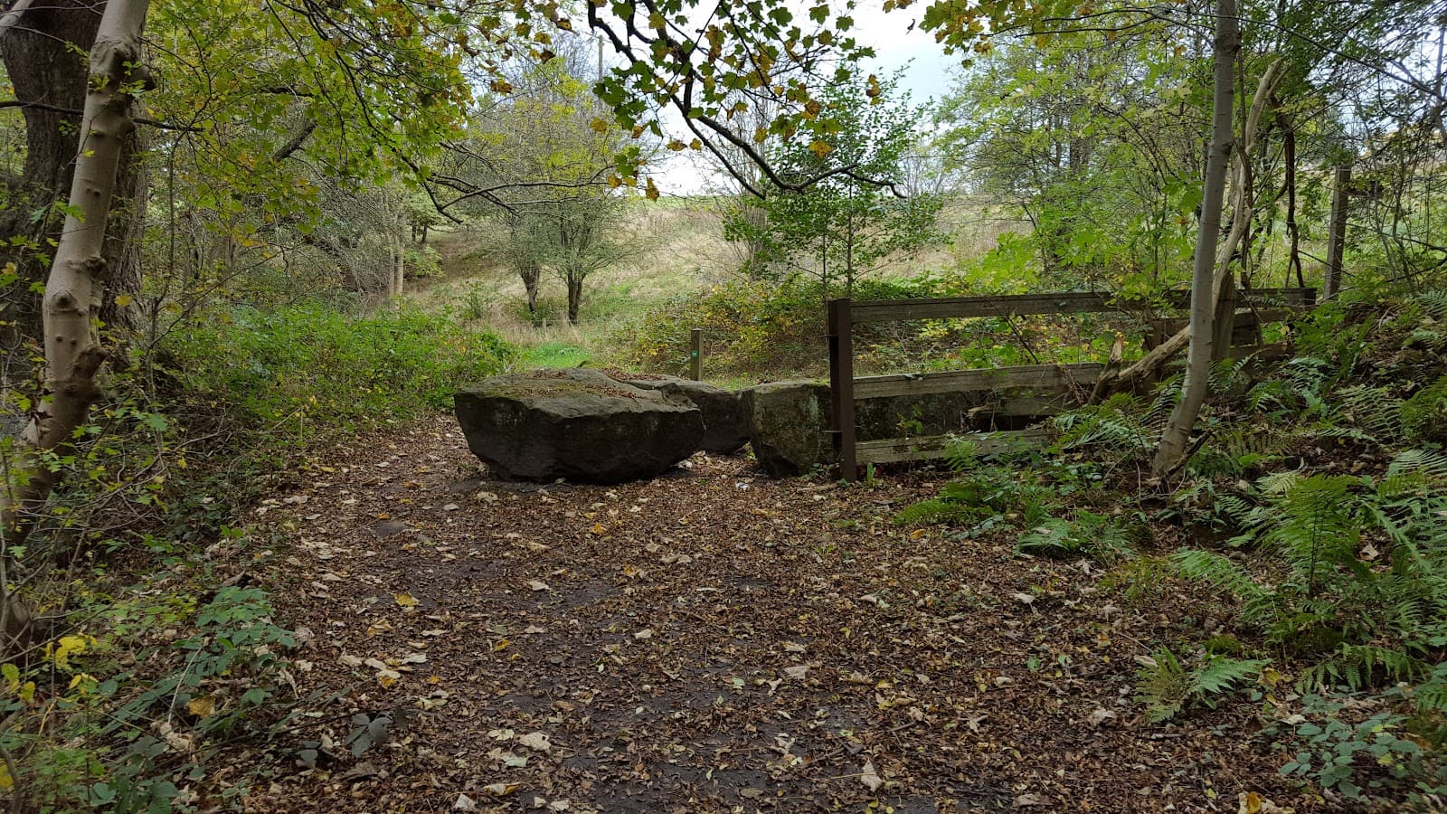 Meanwood Valley Trail - Image 1