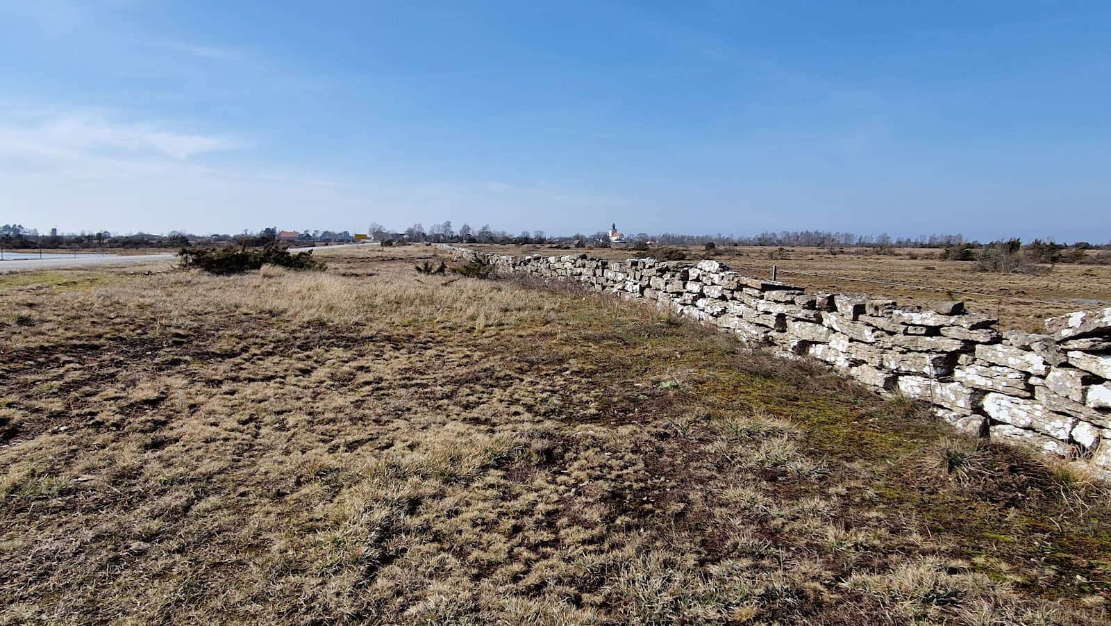 Grazing Wildlife