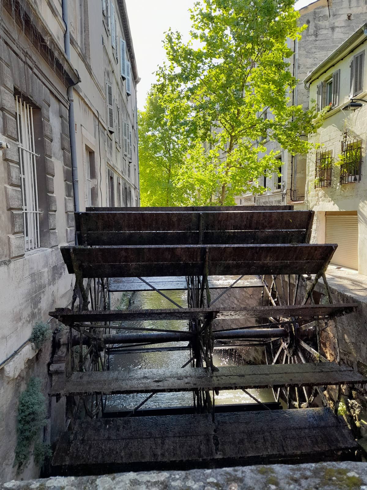 Vertical photo
