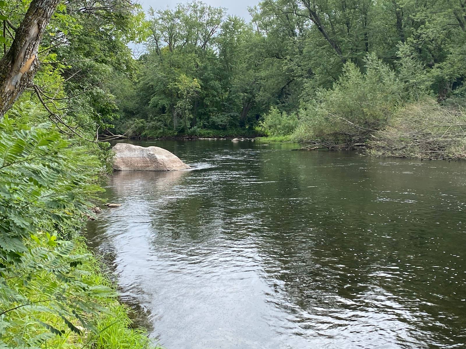 Riverfront Picnic Spots