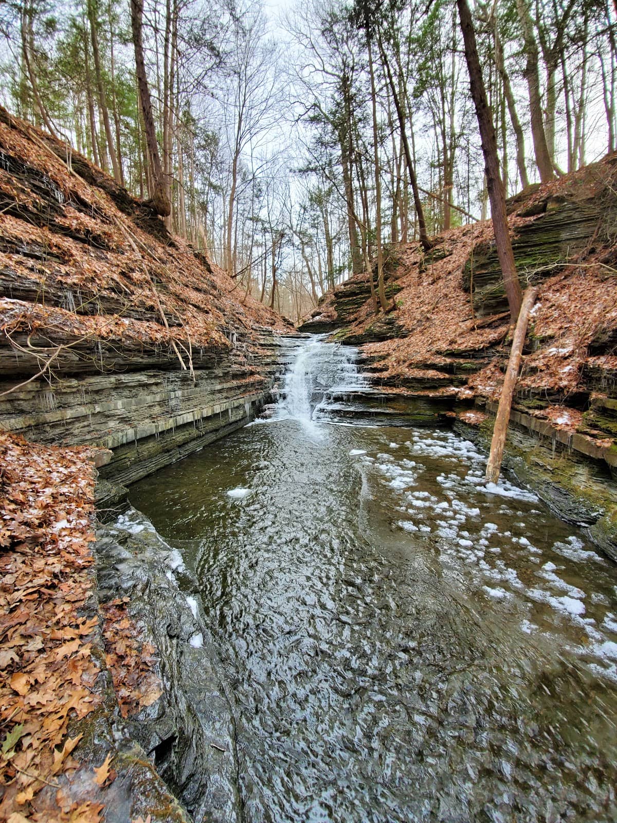 Finger Lakes Trail (FLT) Section