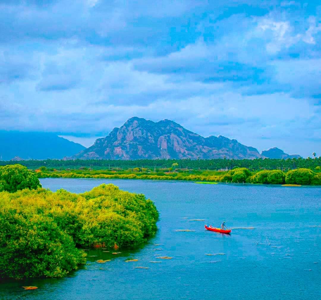 River and Sea Confluence