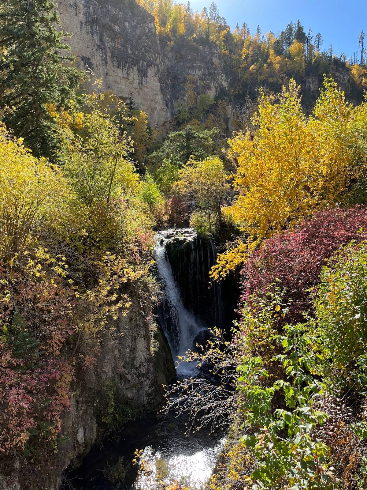 Vertical photo