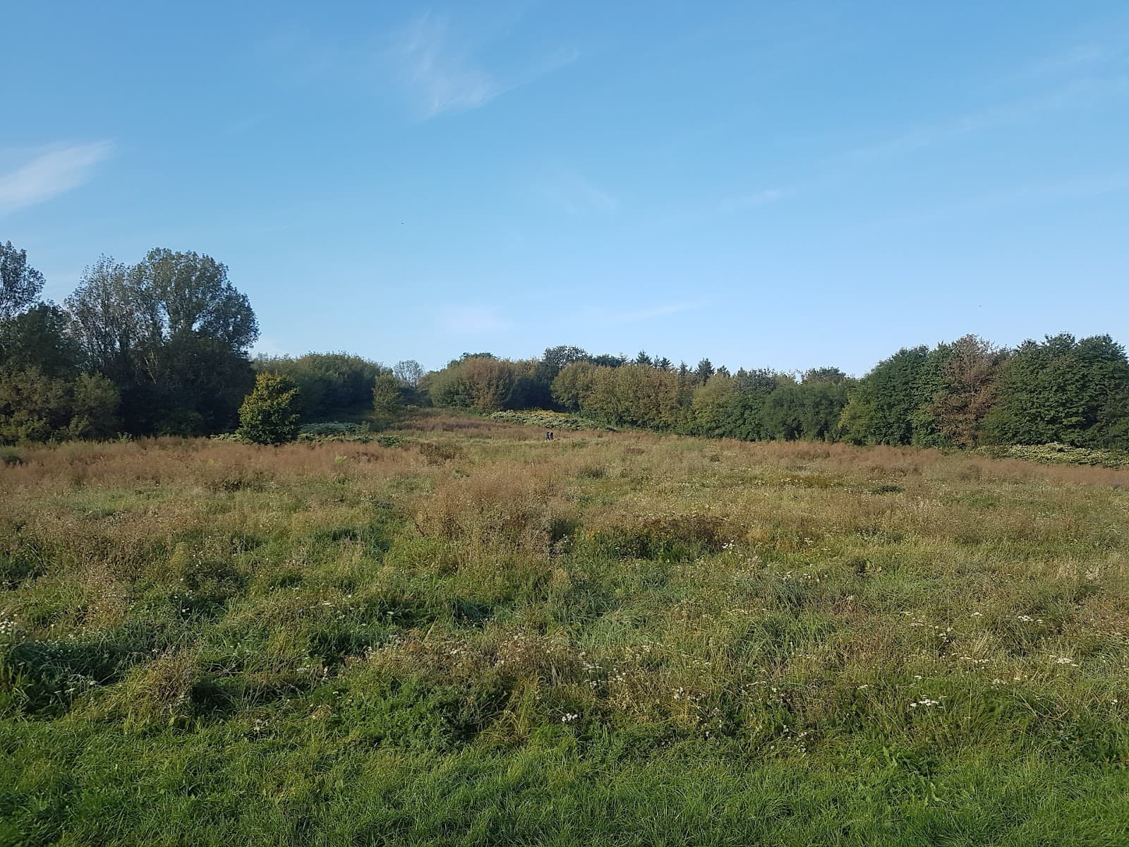 Volkspark Prenzlauer Berg - Image 1