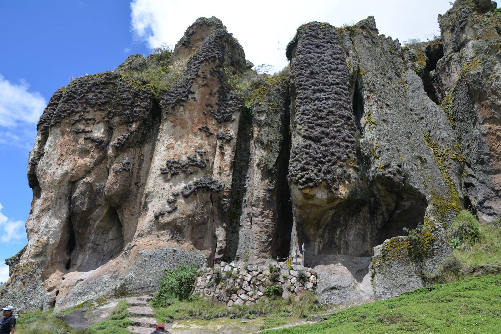 Vertical photo
