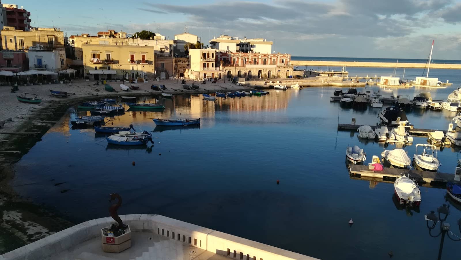 Vertical photo