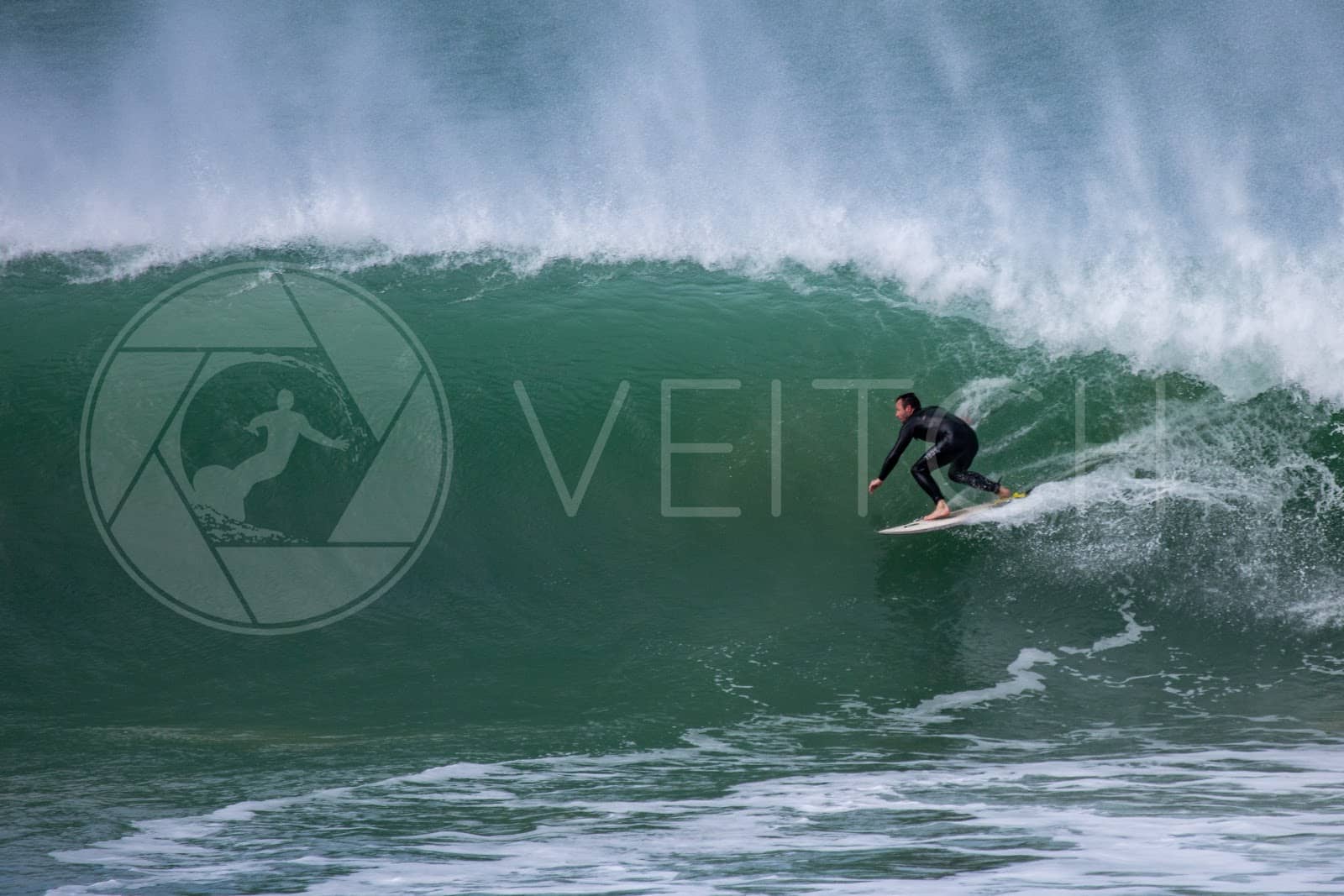Whale Watching in Reunion Island