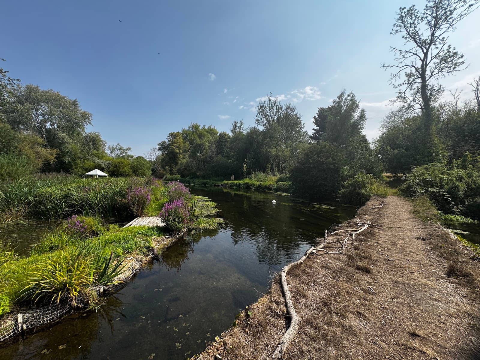The Neolithic Houses