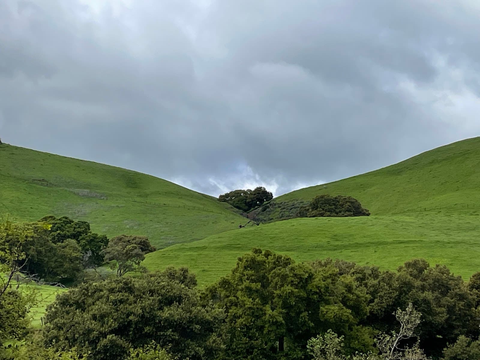 Alameda Creek Regional Trail - Image 1