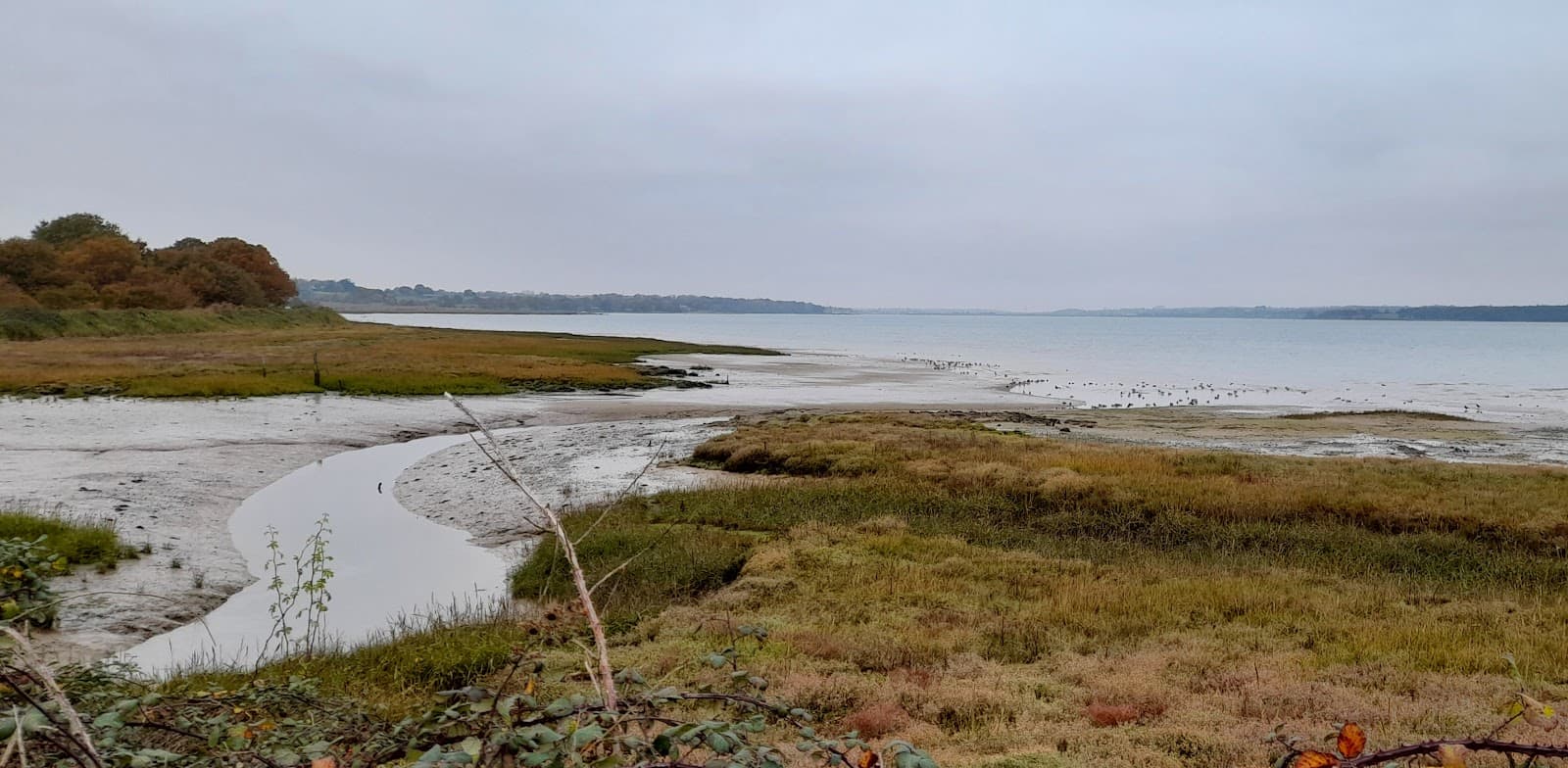 Wrabness Nature Reserve - Image 1
