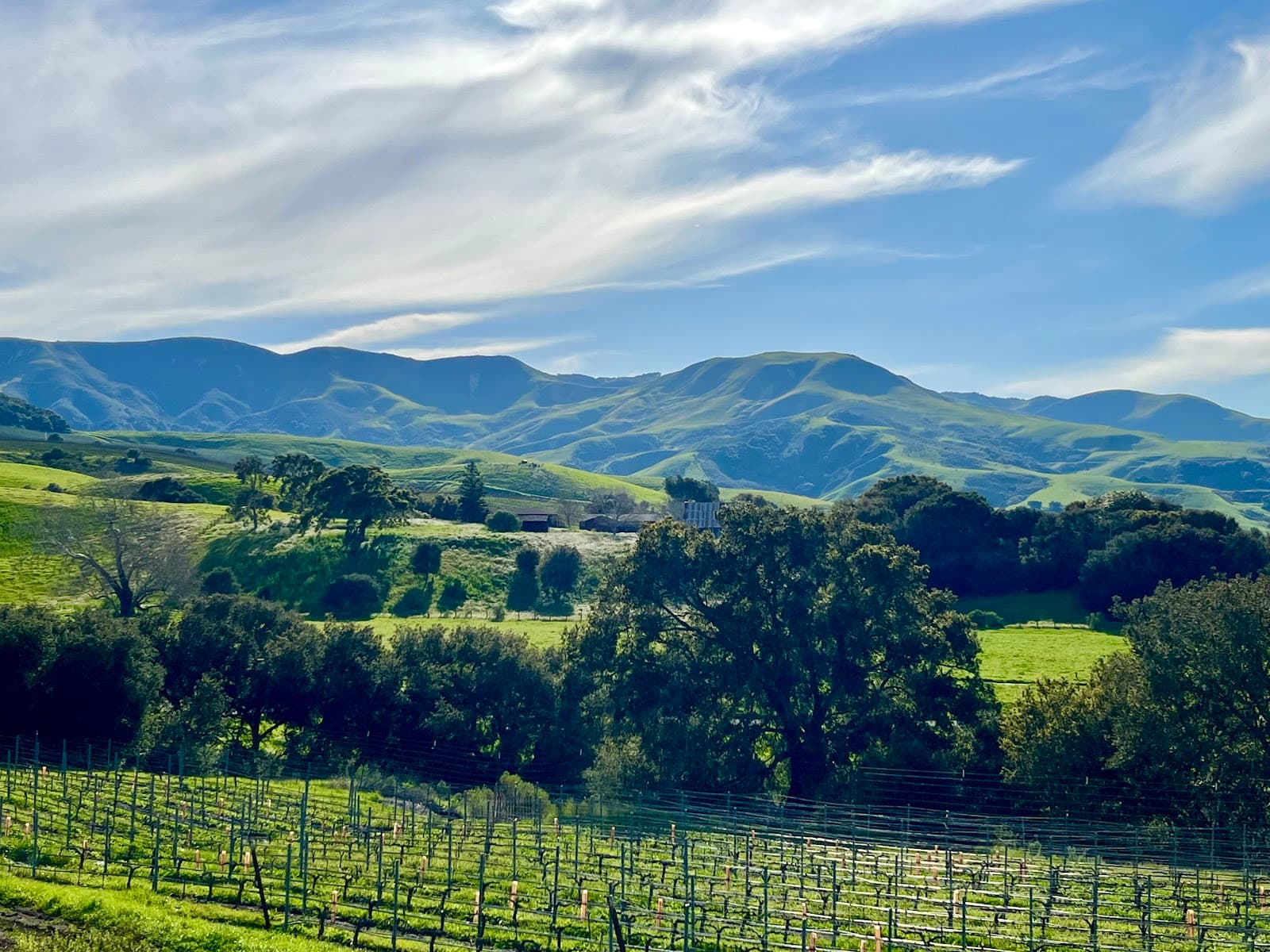 Santa Ynez Valley - Image 1