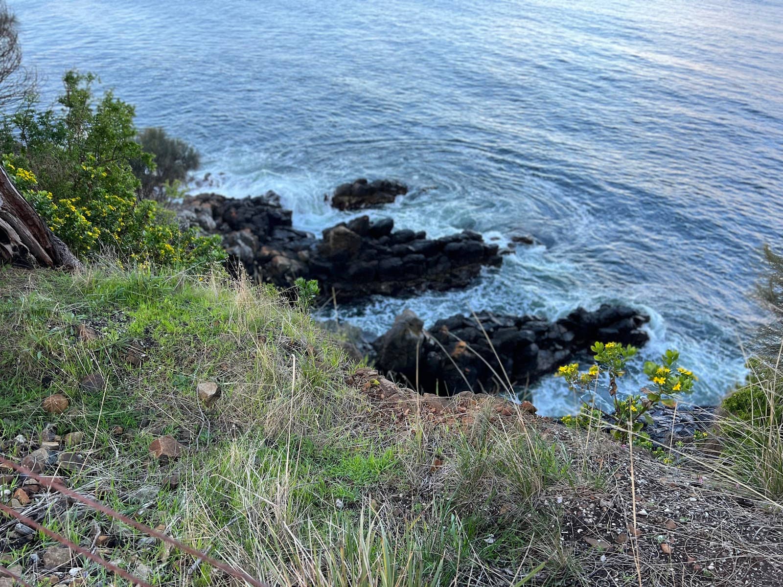 Vertical photo