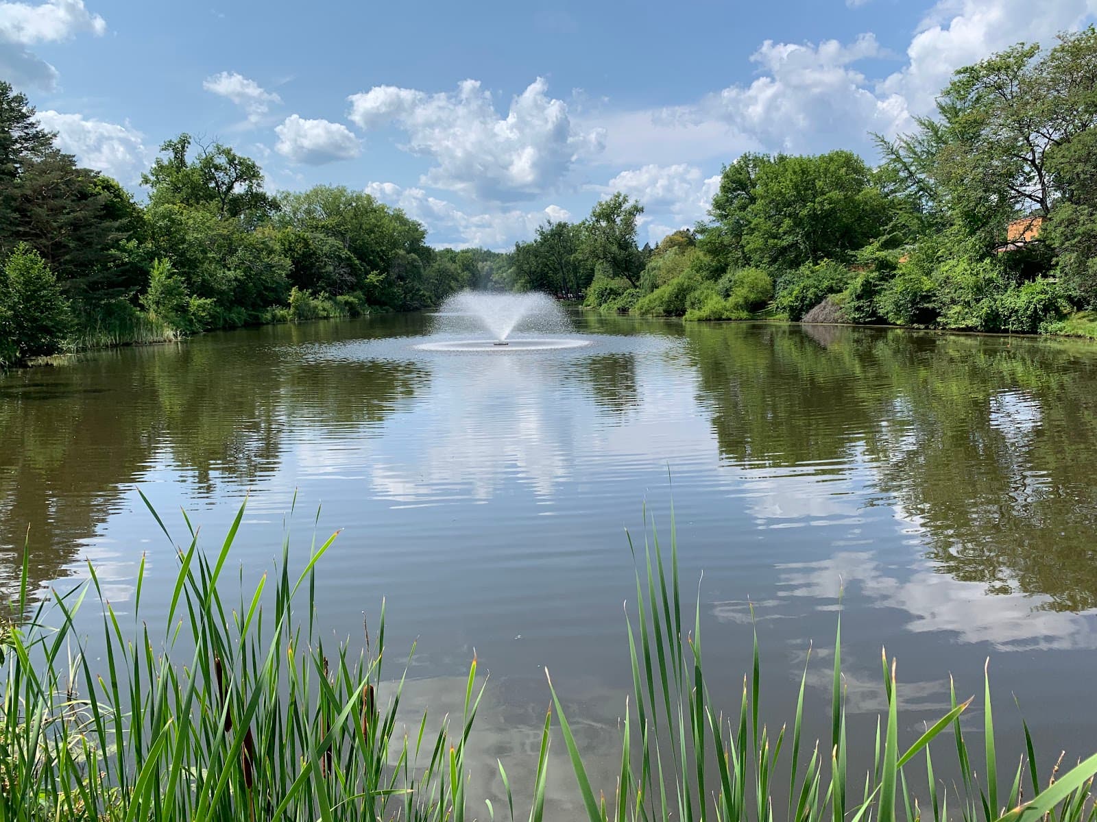 Buckingham Pond Park - Image 1