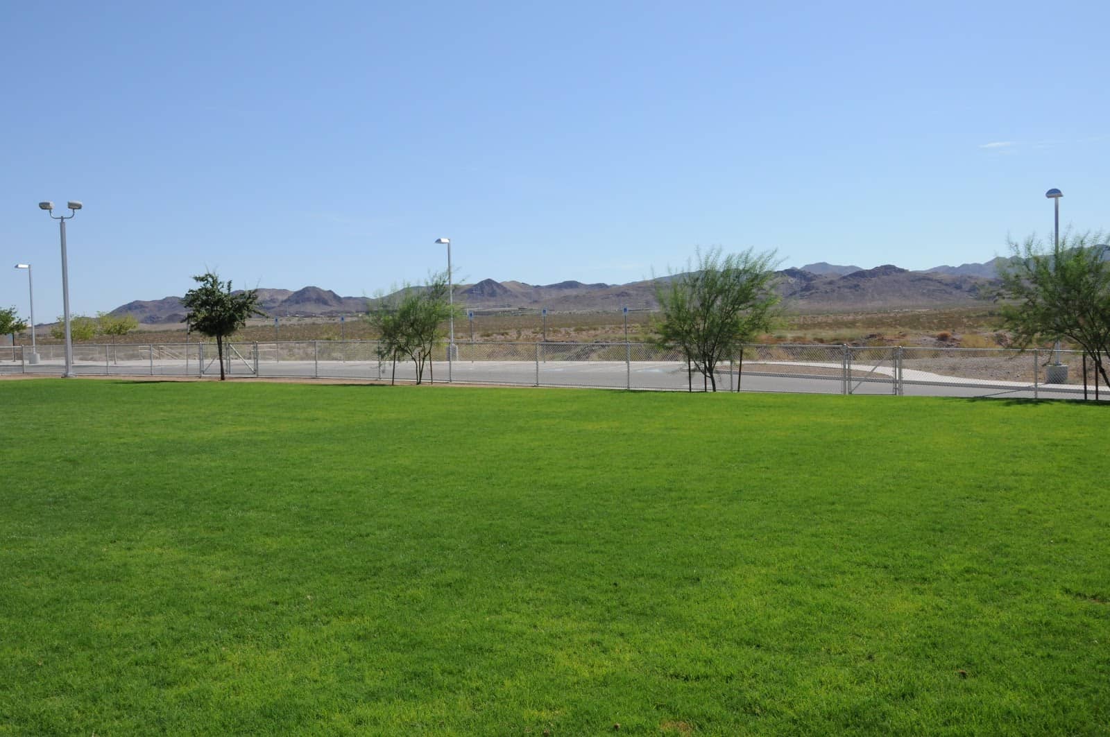 Dog Park