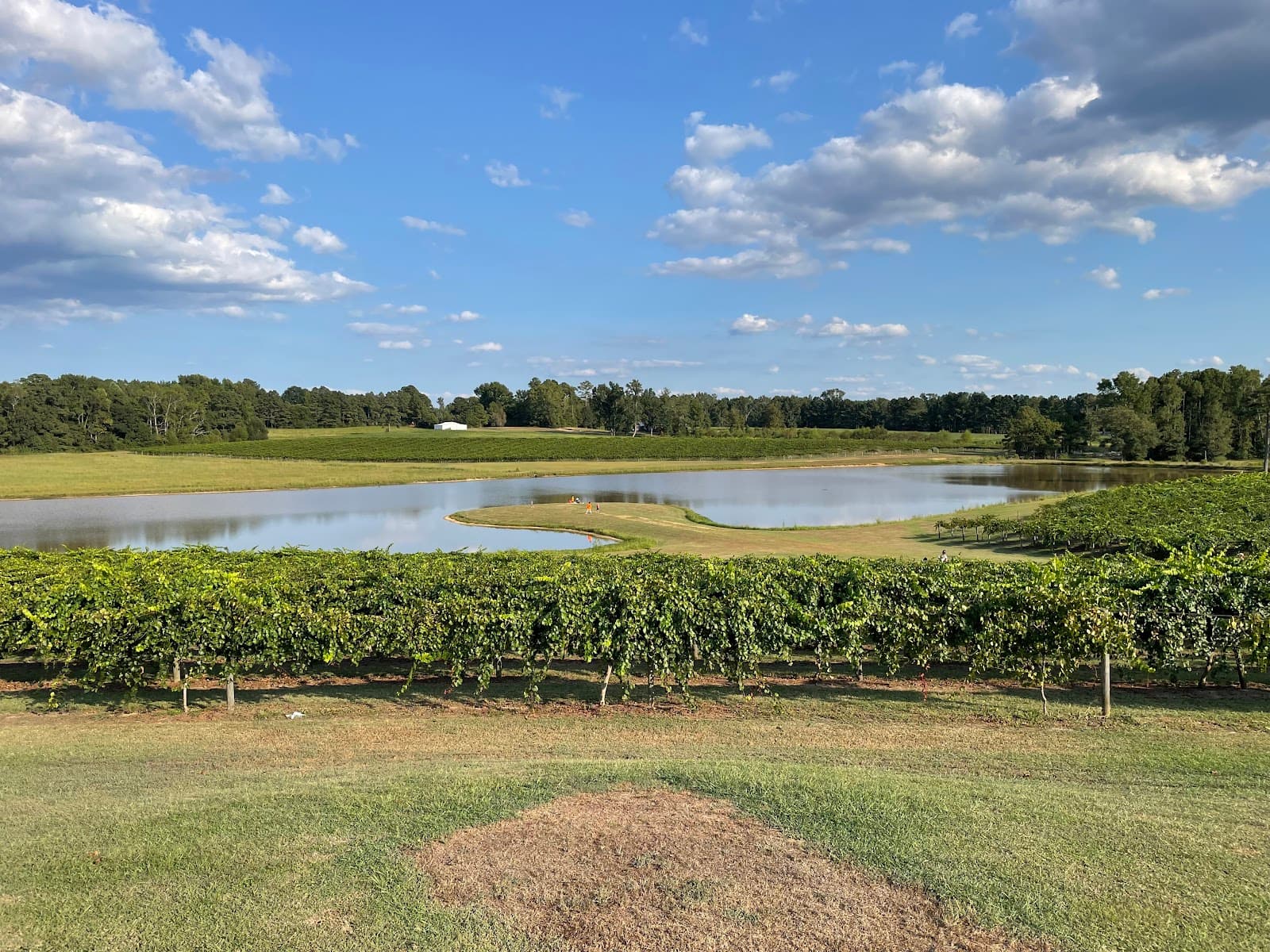 Gregory Vineyards - Image 1