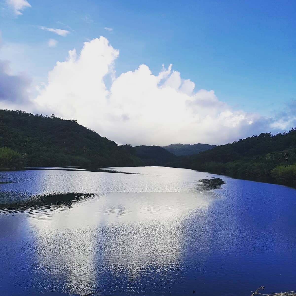 Surrounding Natural Beauty