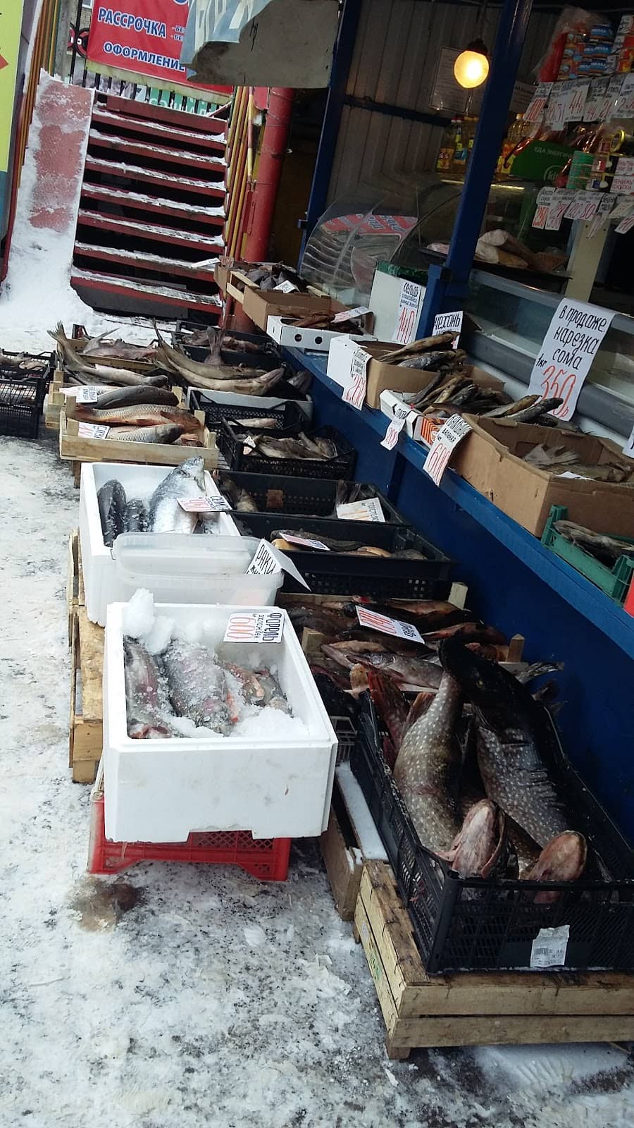 Volga Fish Selection