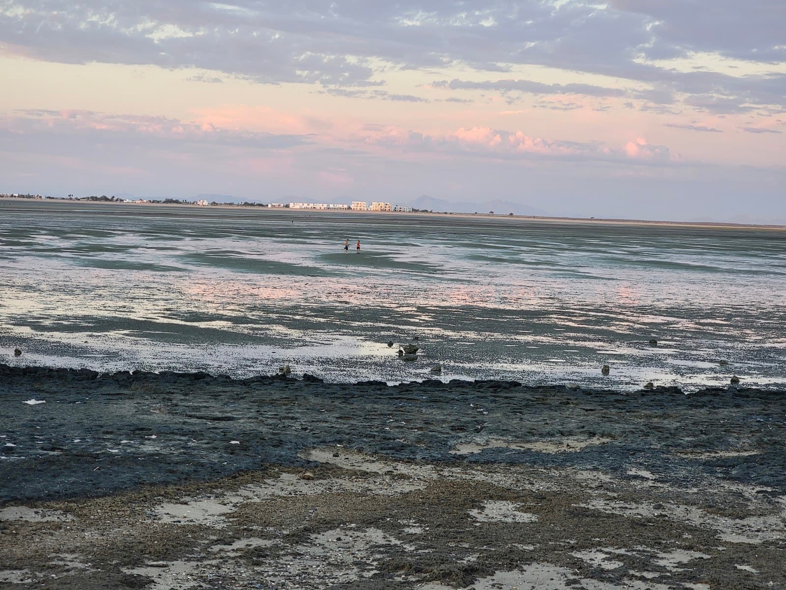 Cholla Bay Tide Pools - Image 1