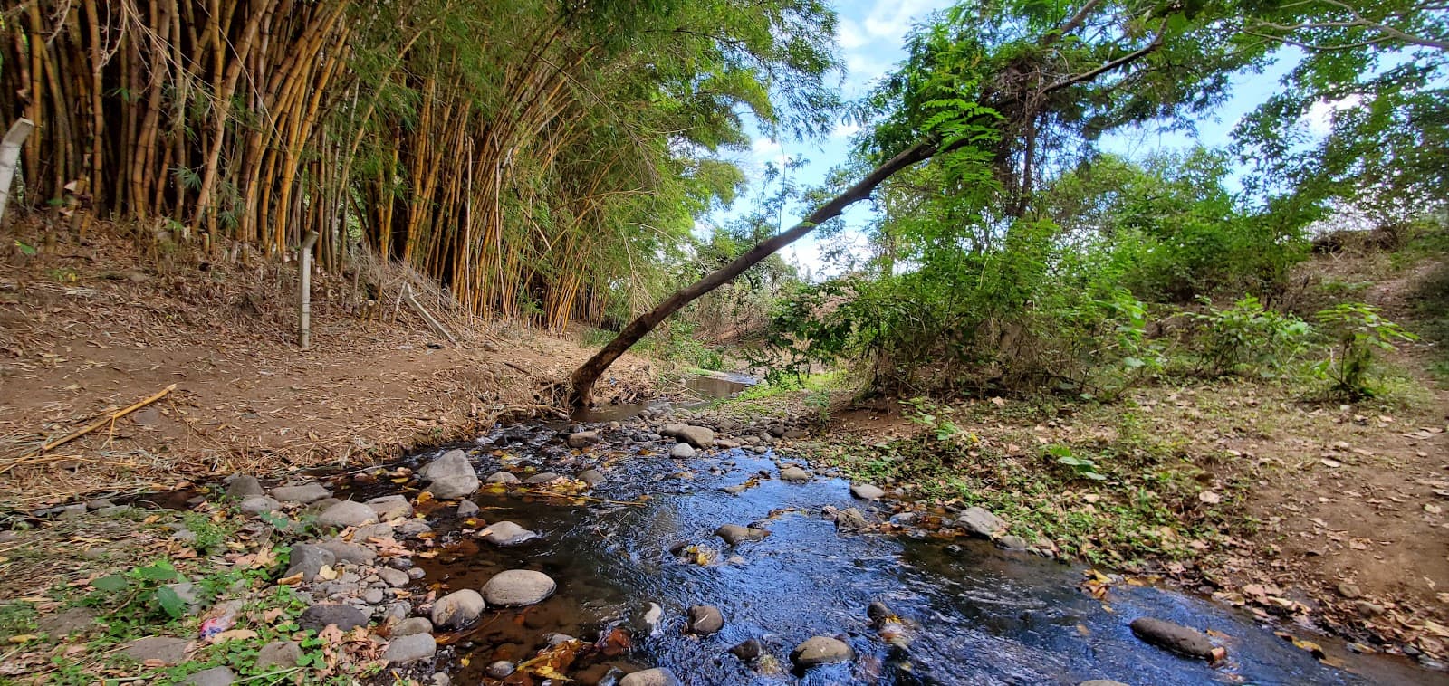 Usa River Tanzania - Image 1