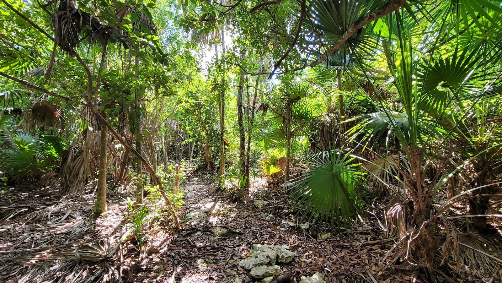Curry Hammock State Park Marathon Florida - Image 1