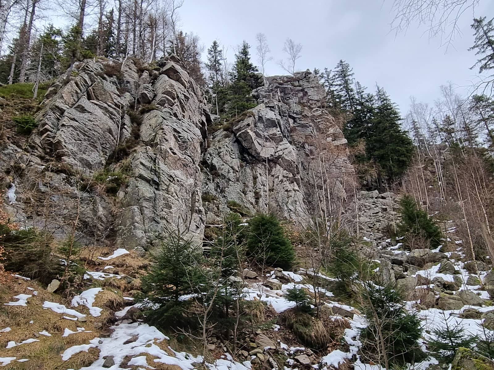 Vertical photo