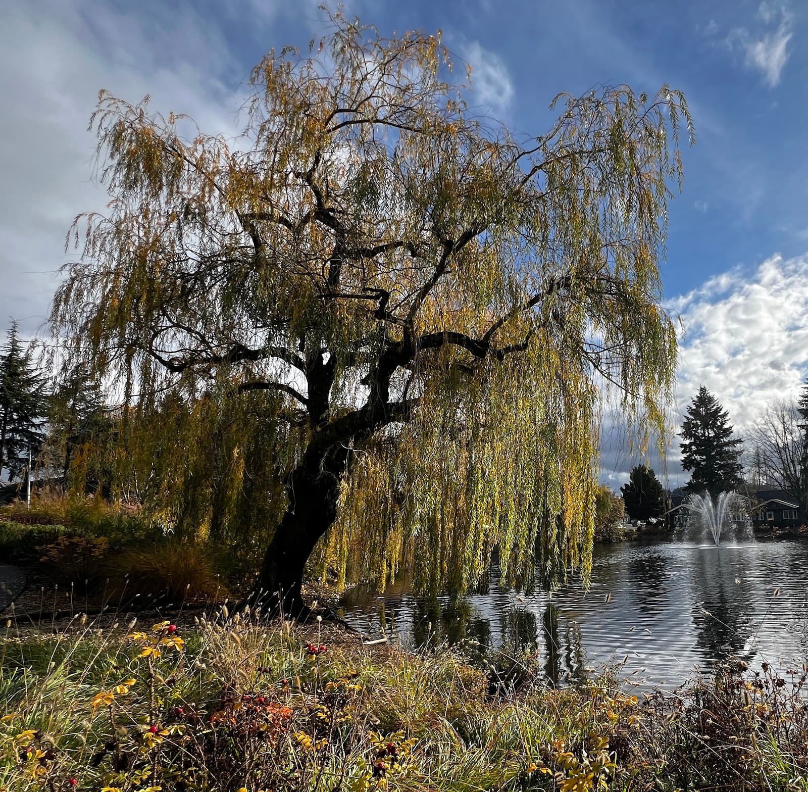 Murrayhill - Image 1