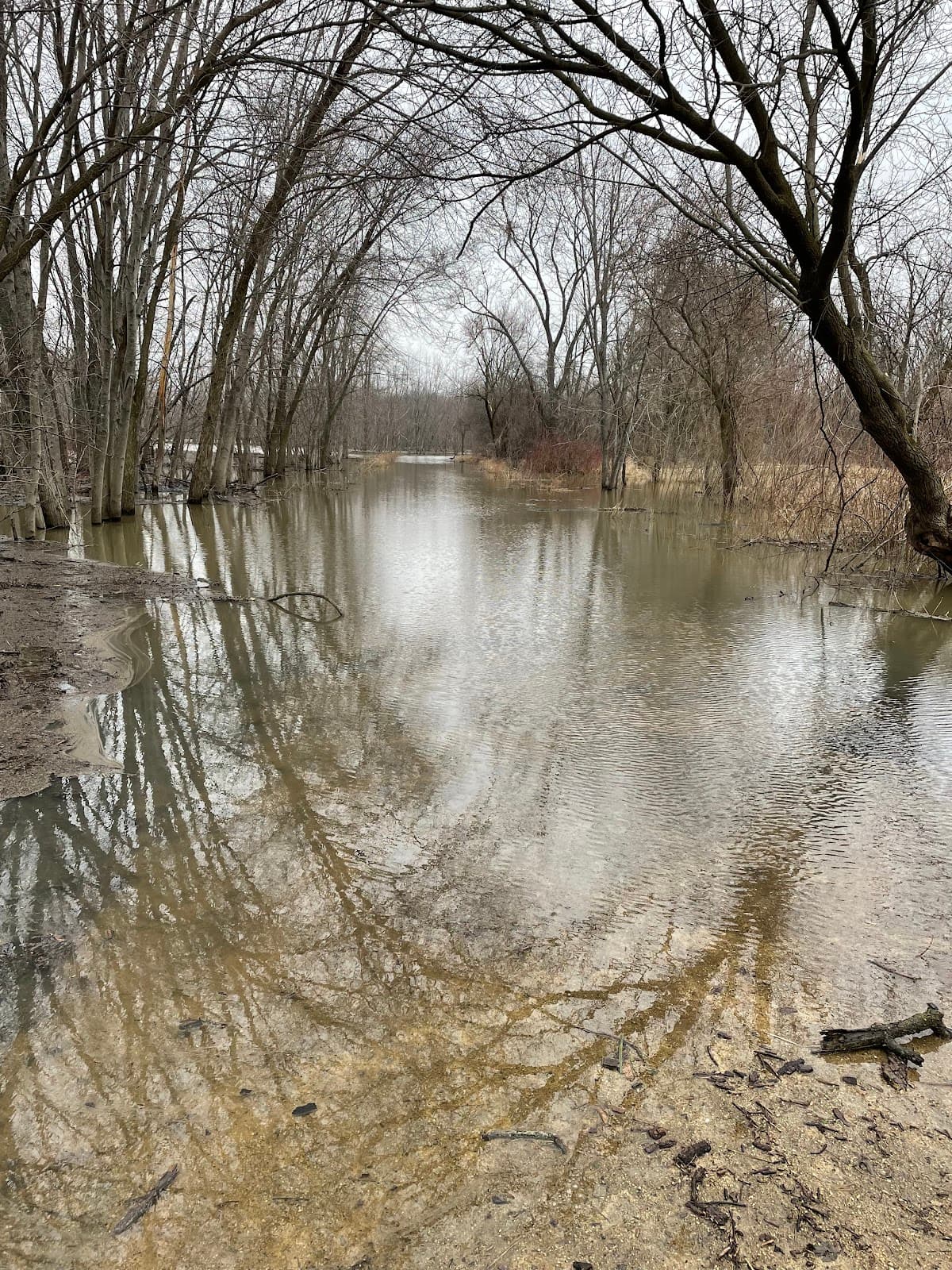 Viking Park - Image 1