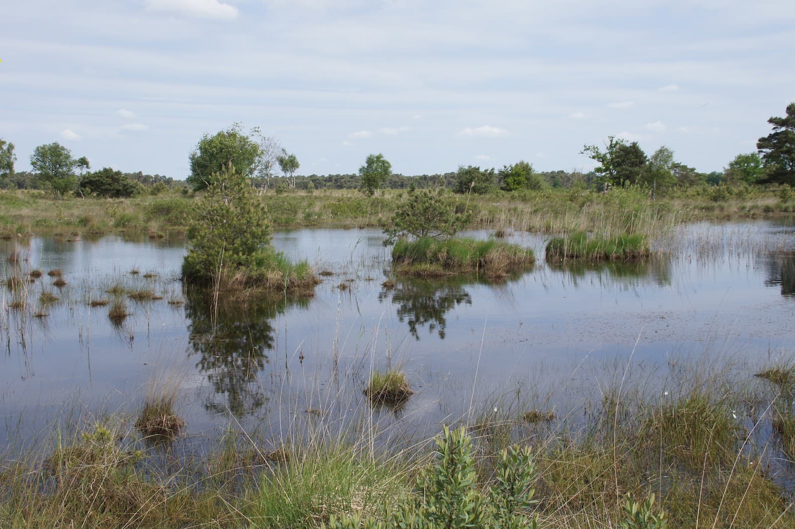 Hageven–De Plateaux - Image 1