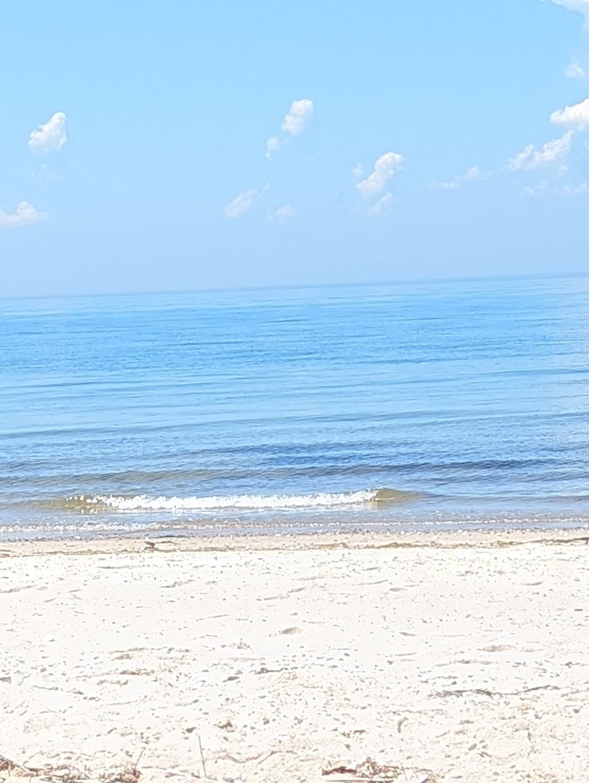 Bound Brook Island & Marshes - Image 1