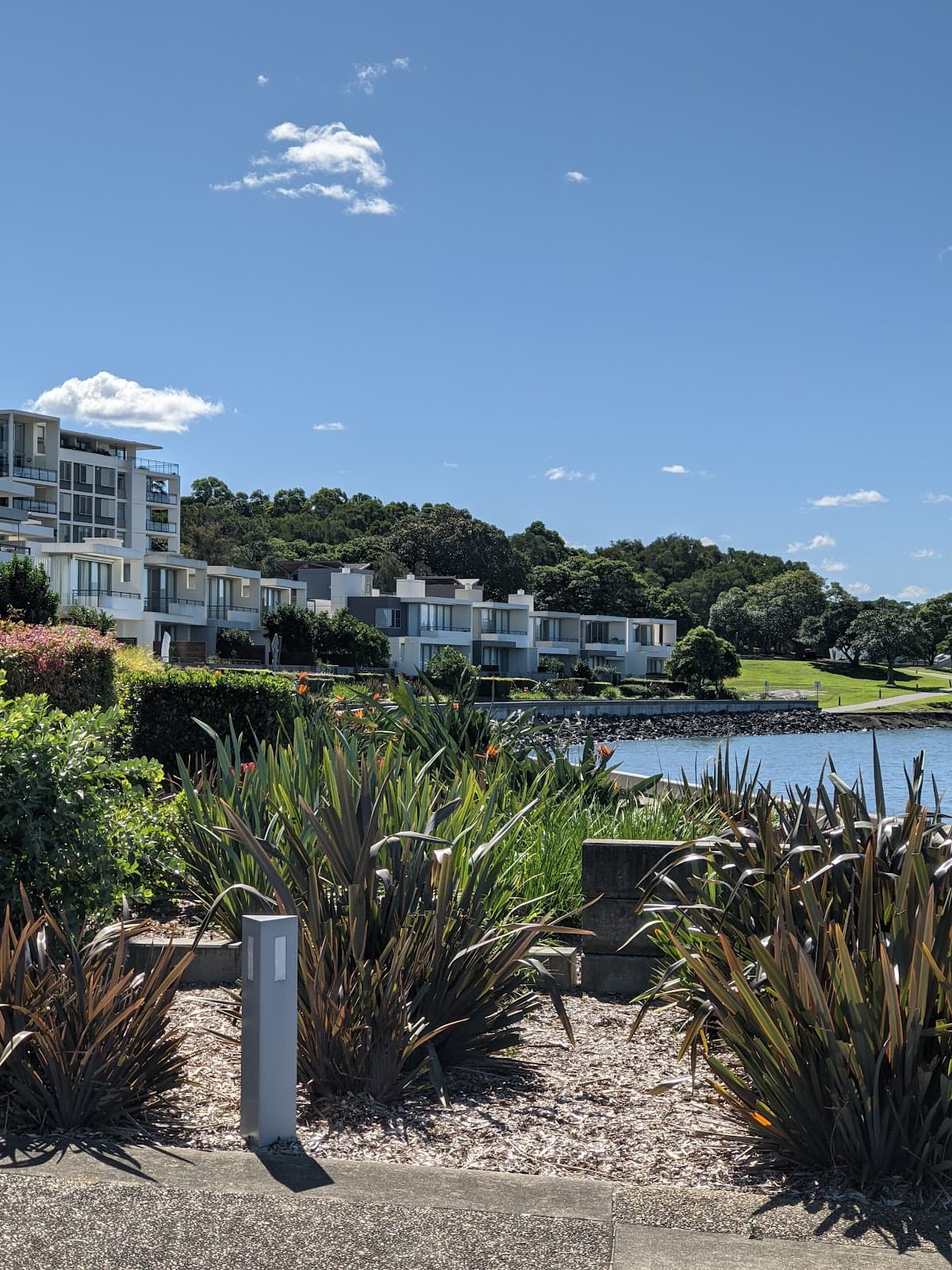 Cabarita - Image 1