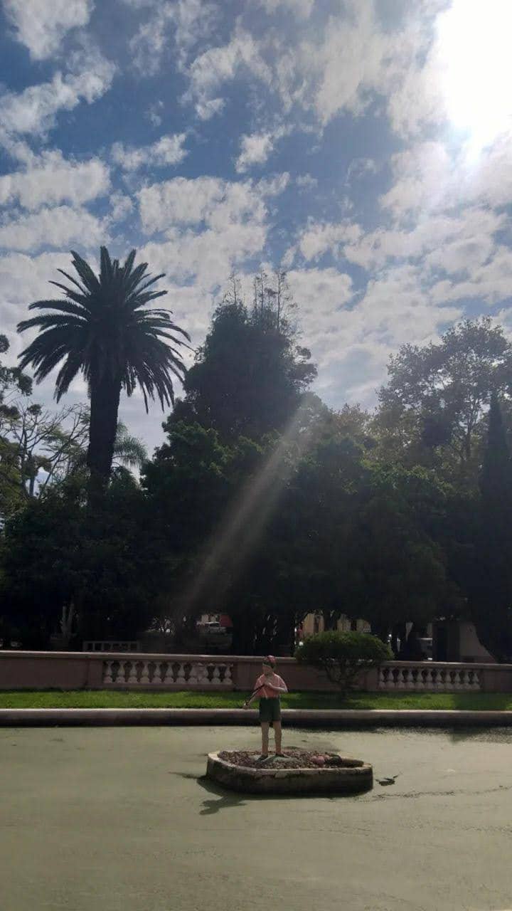 Vertical photo