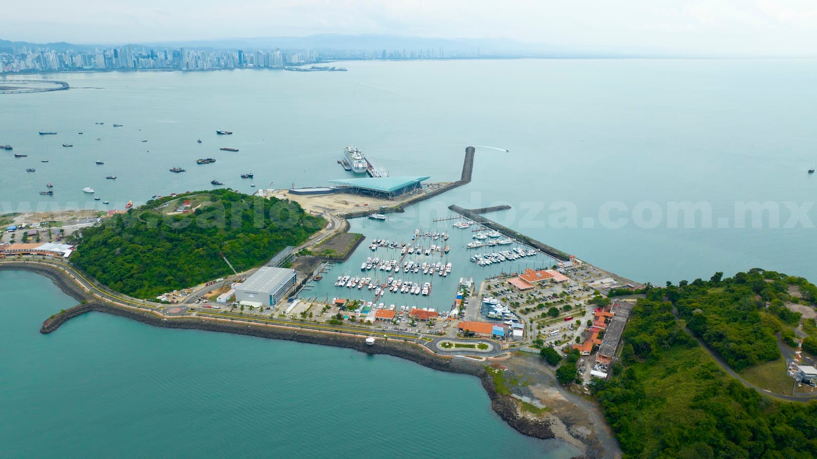Perico Island - Image 1