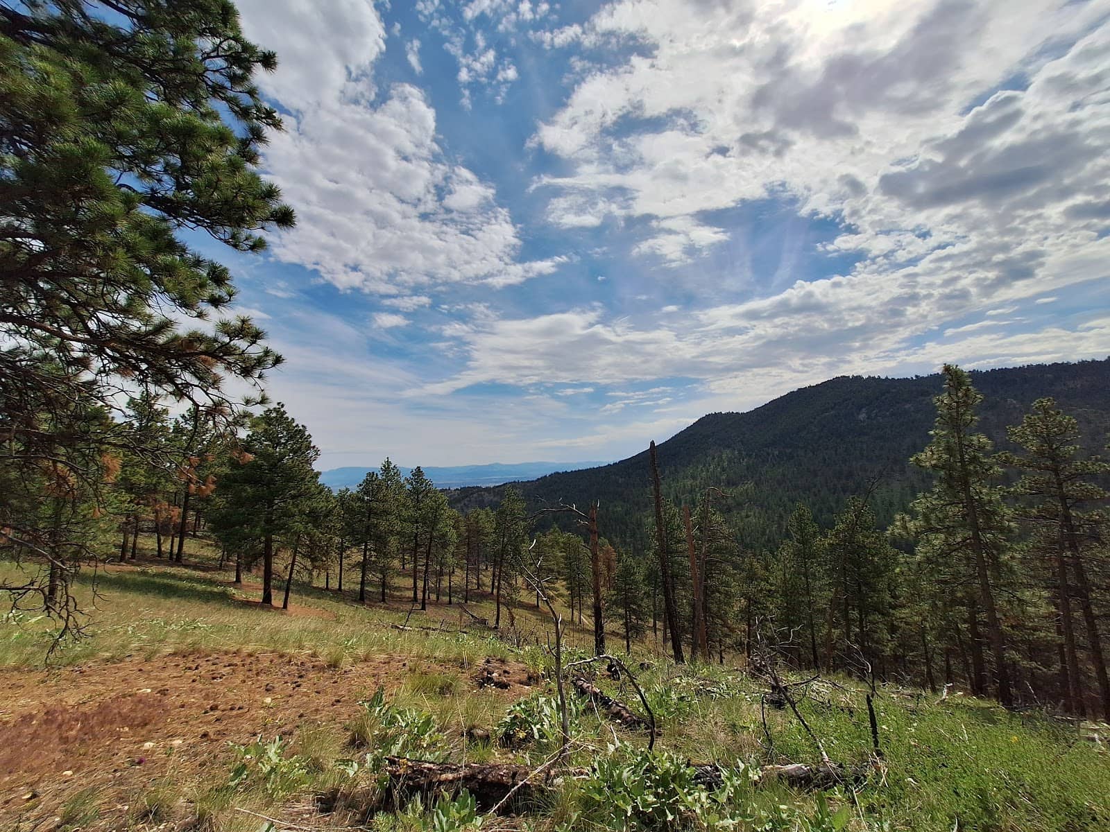 Peaceful & Clean Environment