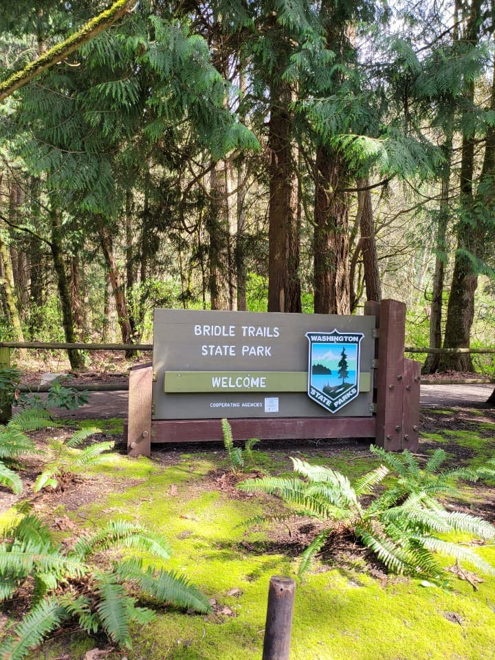 Bridle Trails State Park - Image 1