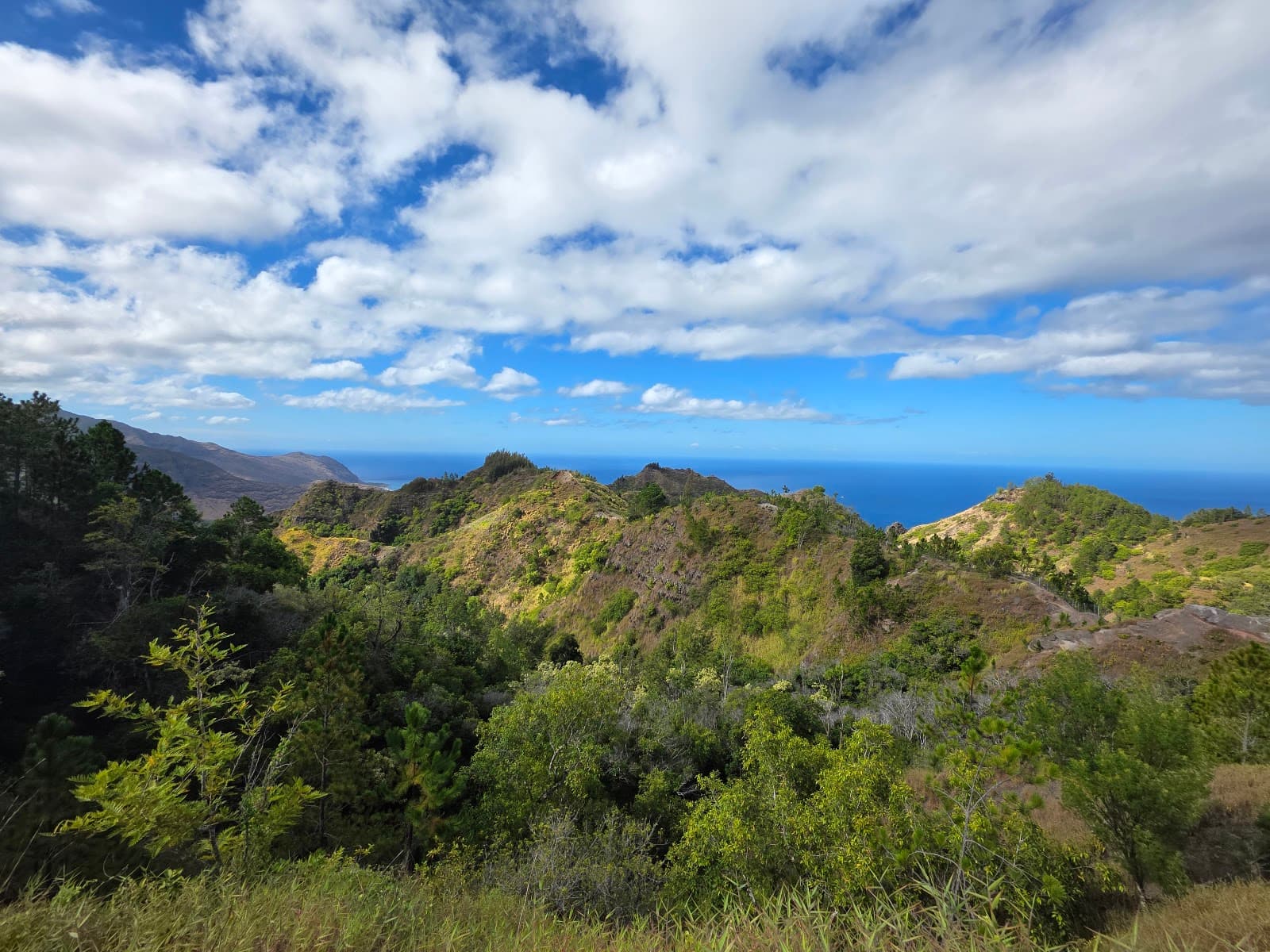 Kuaokala Forest Reserve - Image 1