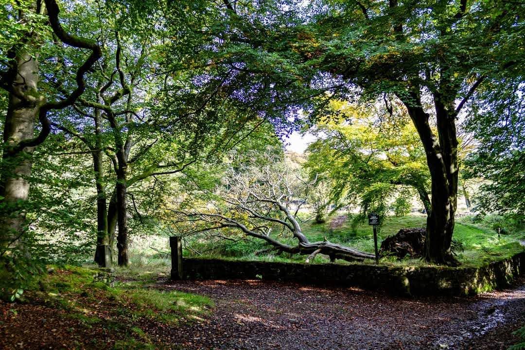 Circular Walks