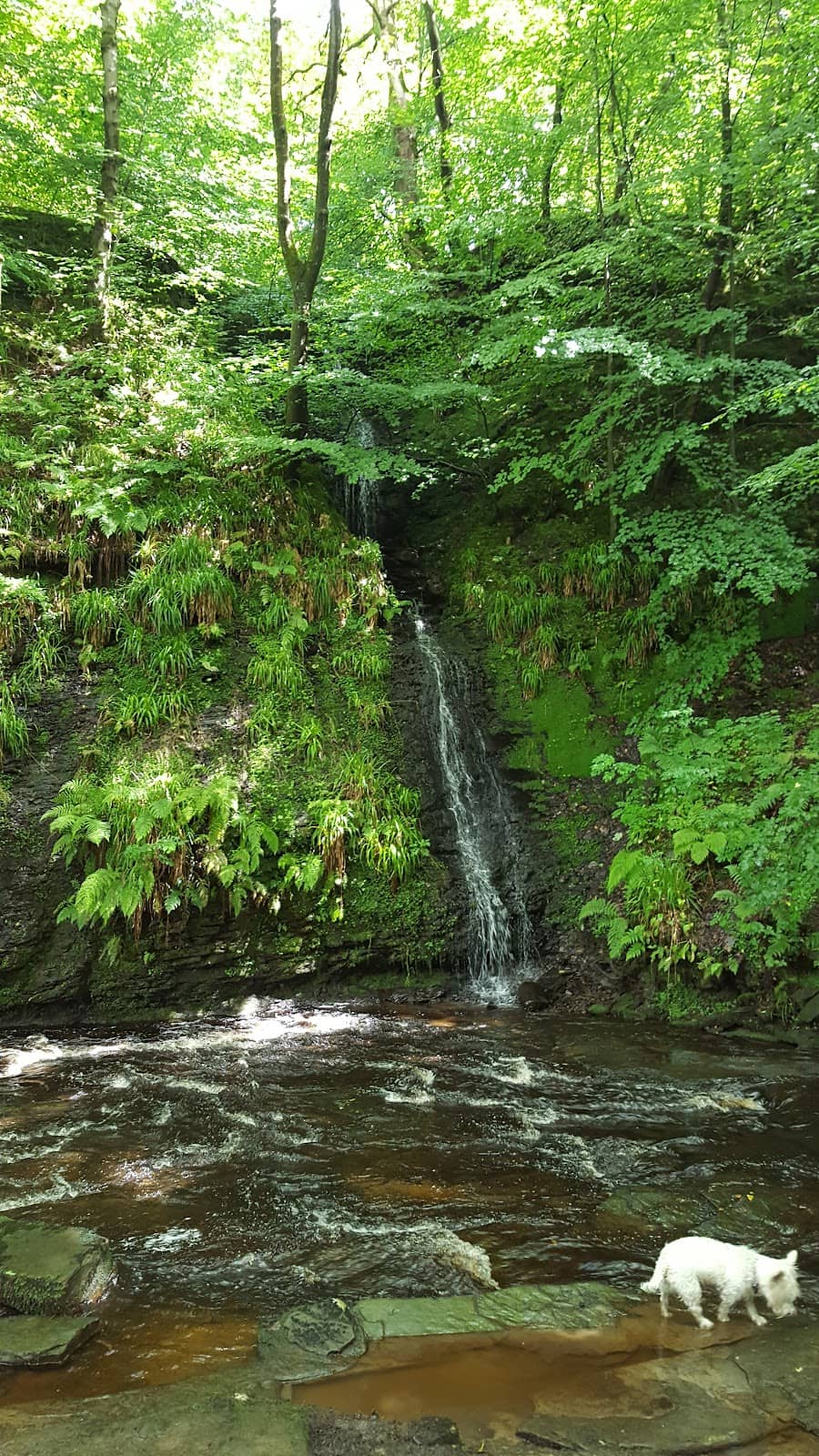 Vertical photo