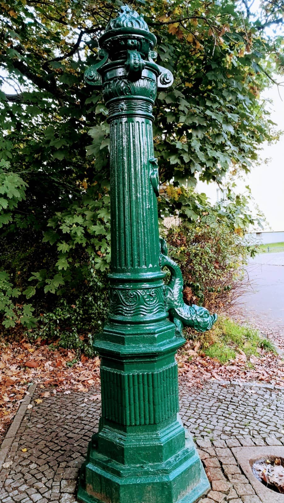 Vertical photo