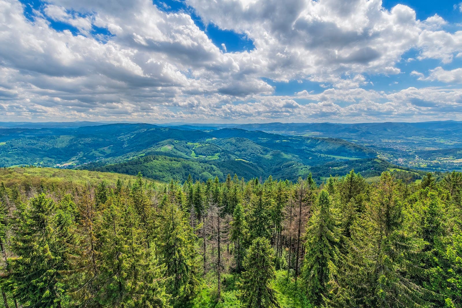 Czantoria Lookout Tower - Image 1