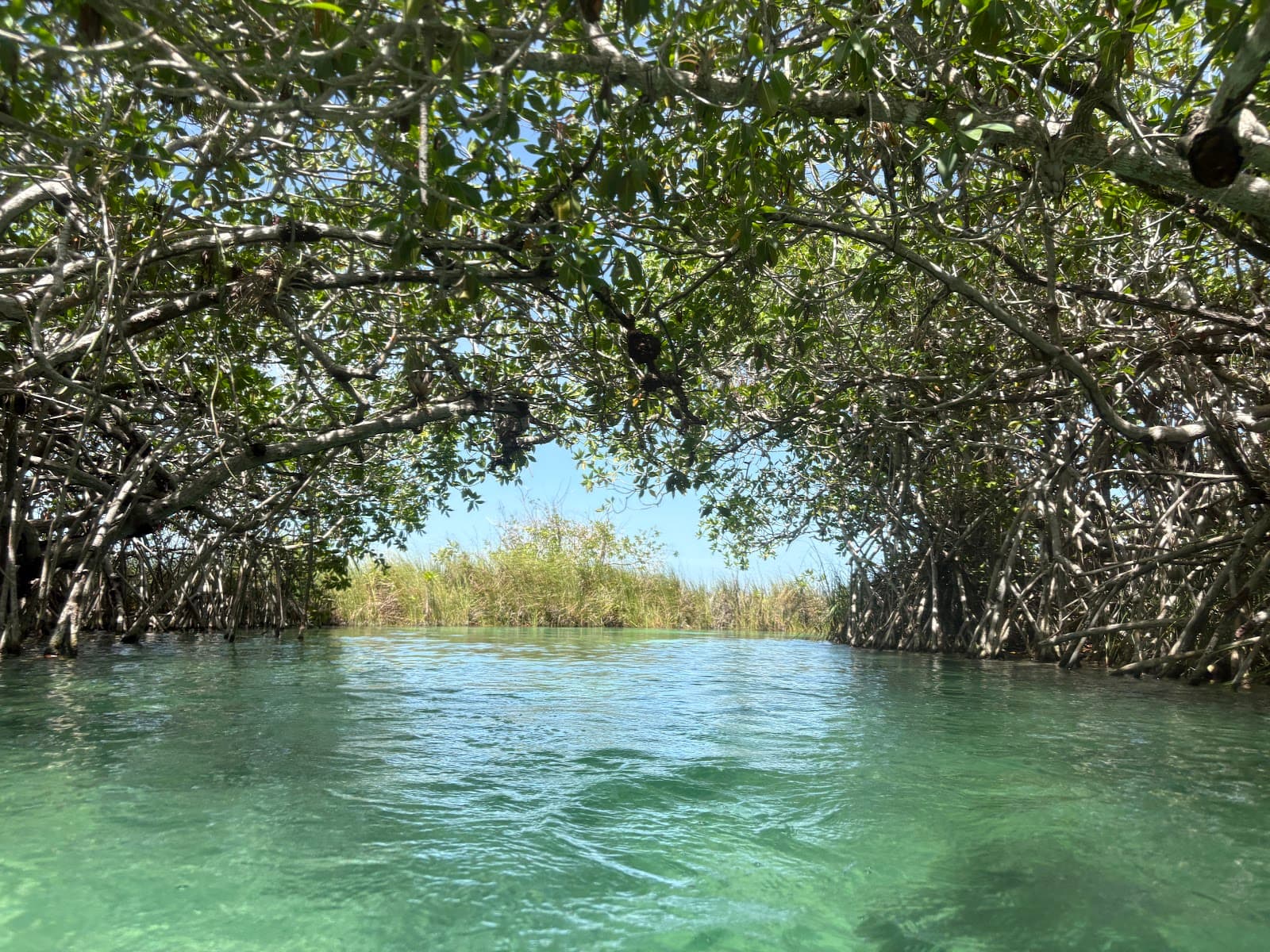 Muyil Lagoons & Canal Float - Image 1