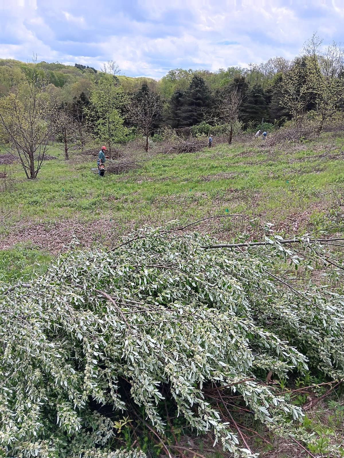 Waterfowl Habitats