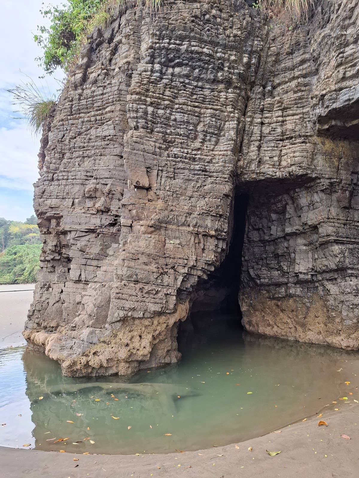 Vertical photo