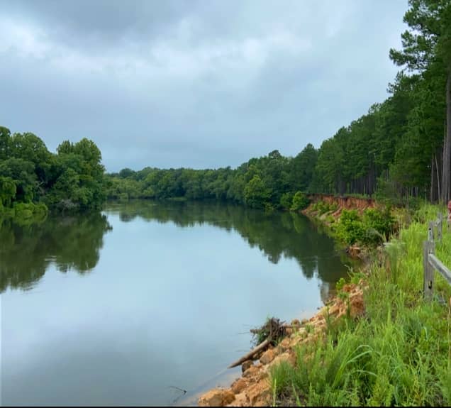 Abundant Pollinators