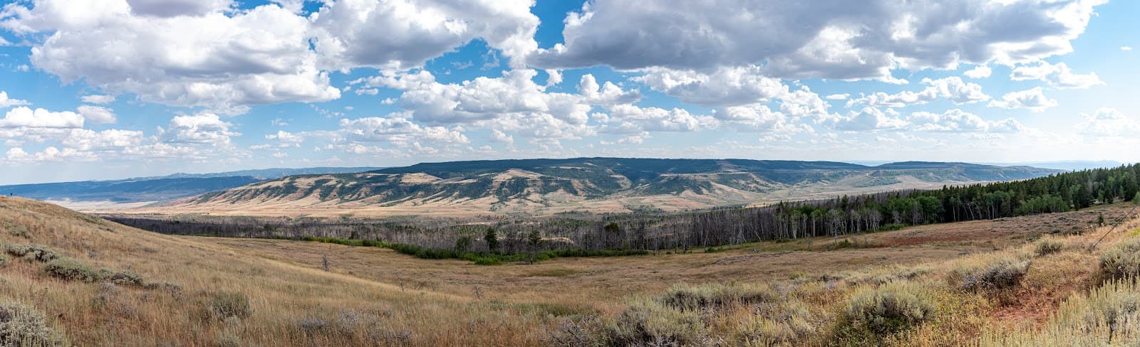 Muddy Mountain Environmental Education Area - Image 1
