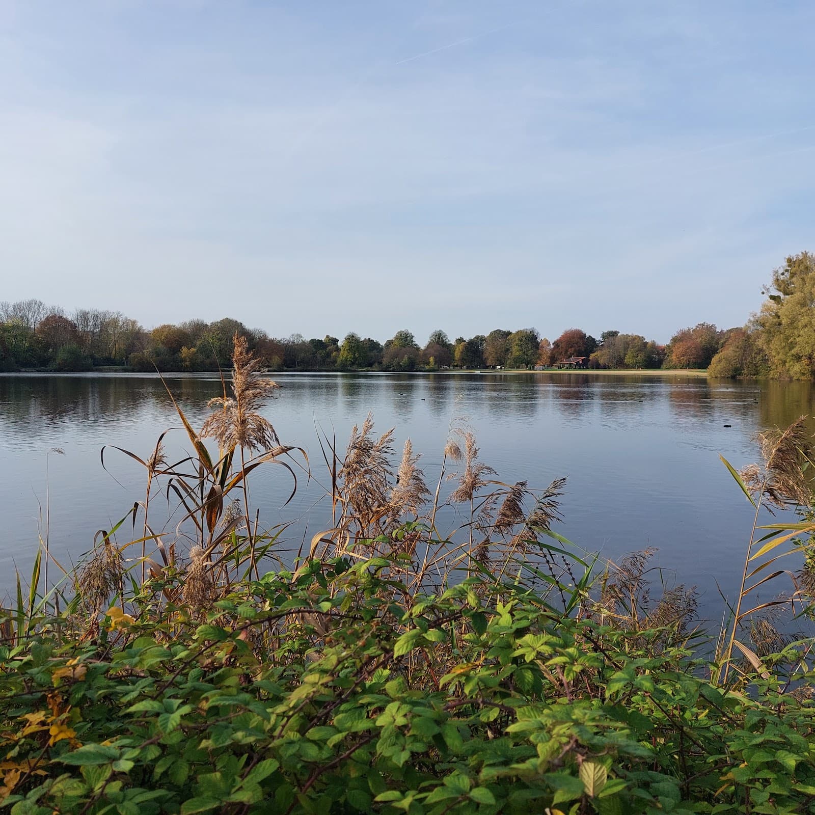 Hohnsensee Lake - Image 1