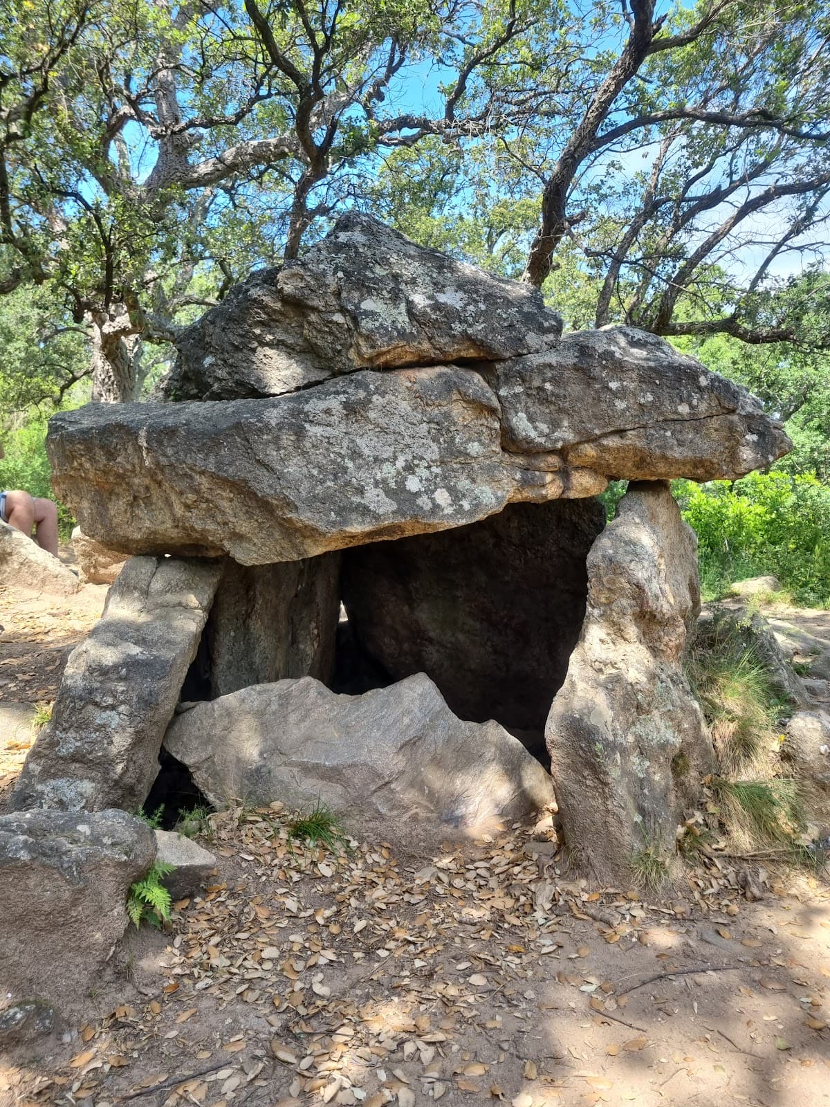 Dolmen de la Cova de l'Alarb - Image 1