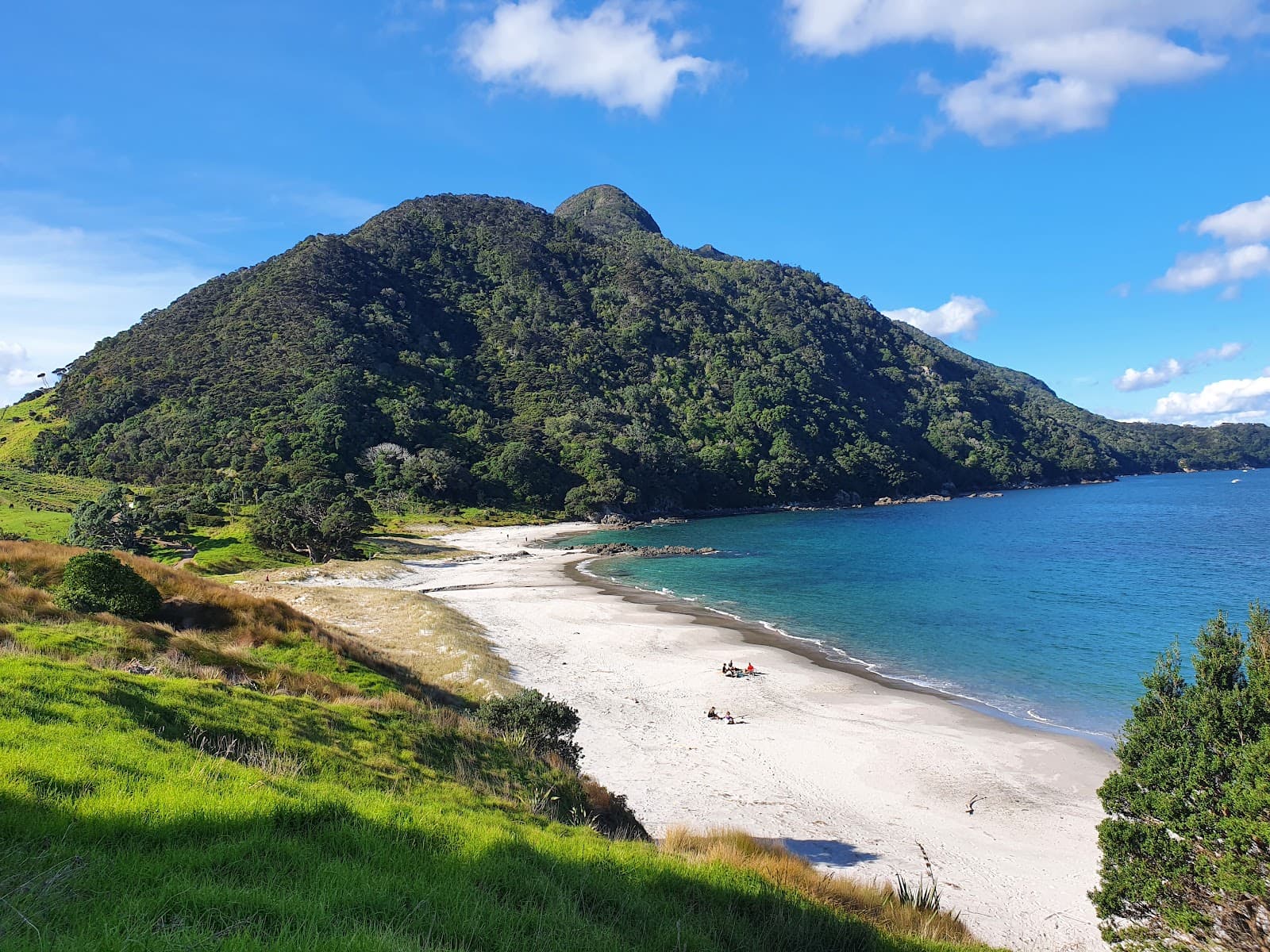 Smugglers Bay Bream Head - Image 1